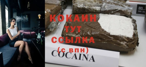 кокс Елизово