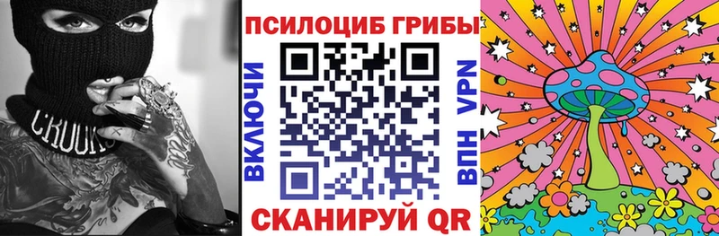 где купить наркотик  МЕГА сайт  Псилоцибиновые грибы Psilocybe  Ивангород 